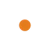 🟠