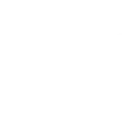 💂